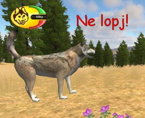 ne_lopj.jpg